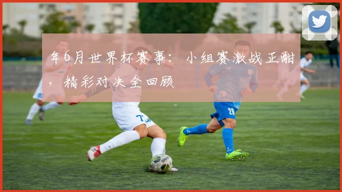 年6月世界杯赛事:小组赛激战正酣,精彩对决全回顾