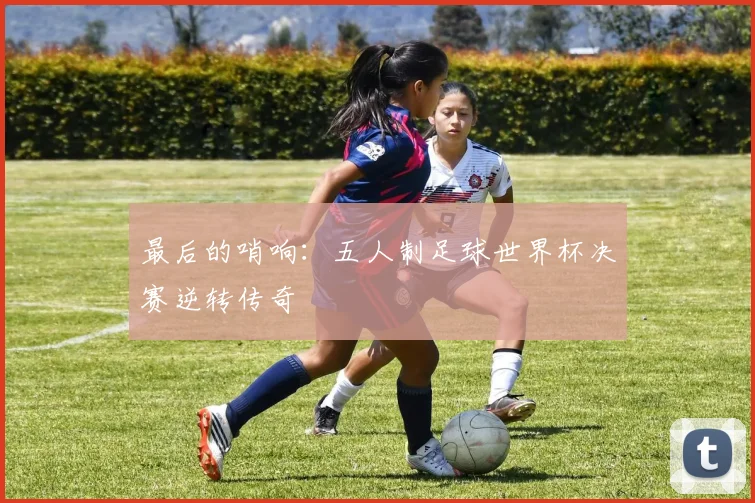 最后的哨响:五人制足球世界杯决赛逆转传奇