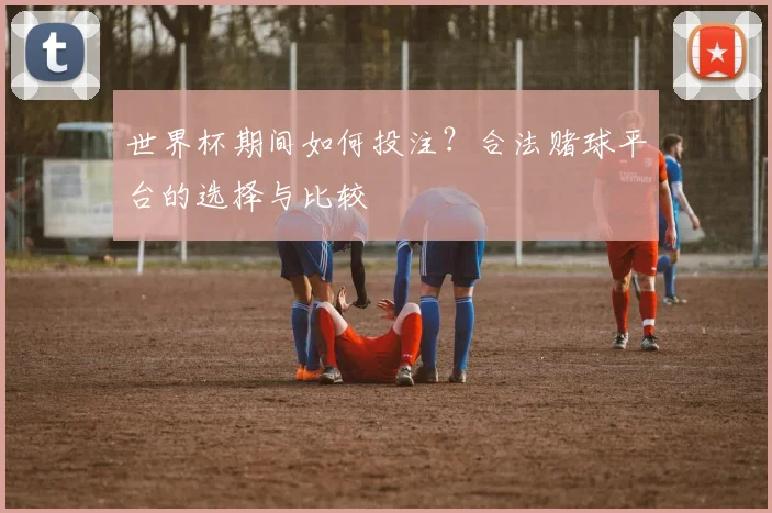 世界杯期间如何投注?合法赌球平台的选择与比较