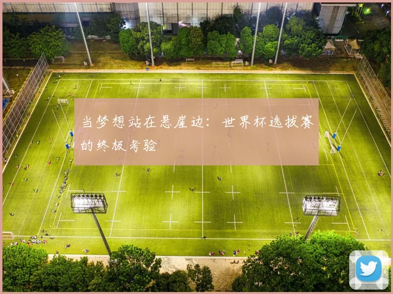 当梦想站在悬崖边:世界杯选拔赛的终极考验