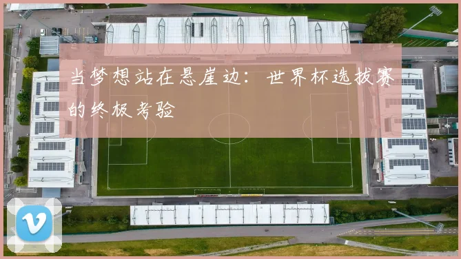 当梦想站在悬崖边:世界杯选拔赛的终极考验
