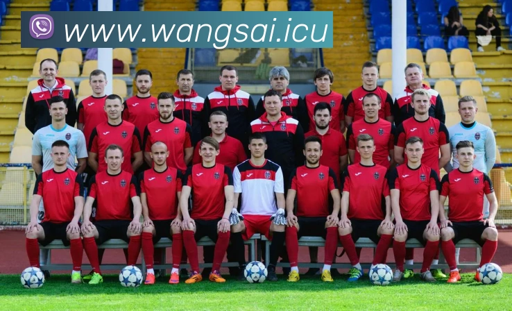 米兰网页版登录入口平台生态图